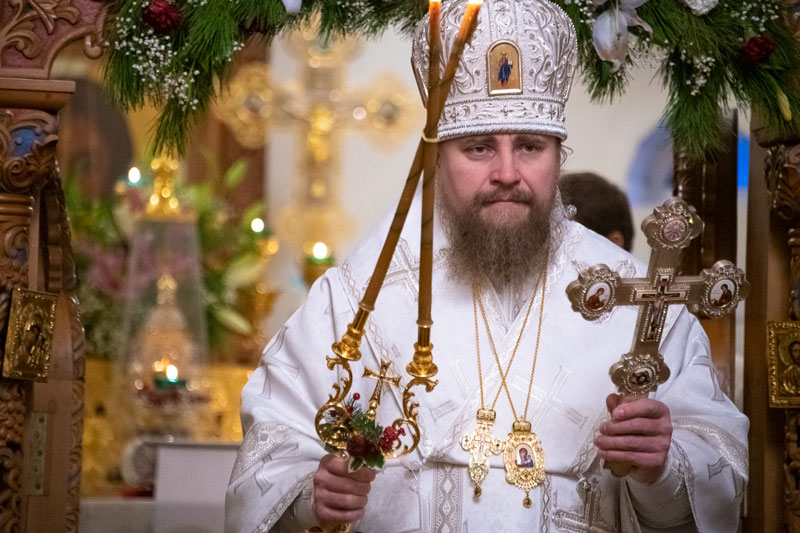 Диакон Сергий Кожухов. Архирей или архиерей. Владыка архиепископ это. Архиереи.