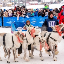 День оленевода